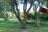 West Whitlock Recreation Area