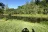 Kellettville Rec Area  Tionesta Lake