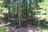 Whitehorse Falls Campground