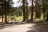 Lost Creek Campground