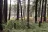 Red Hills Lake Campground