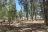 Valentine Ridge Campground