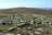 Mont Lozere