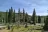 Flat Canyon Campground
