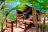 Seven Mile Beach Holiday Park