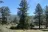 Kitchen Creek Road Dispersed Camping