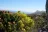 Cape Floral Region Protected Areas