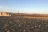 Horse Canyon Road Dispersed Camping