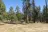 Larson Ridge Camping Area