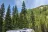 Williamson Campground