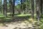 Lily Glen Equestrian Park & Campground