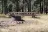 Picnic Spring Campground