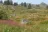 Mount Ashland Campground