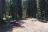 Irondyke Forest Camp