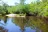 New River Campsite #16