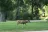 Washoe Park