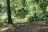 Kellys Pond Campground