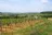Torgny Village