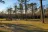 TLC Wolf River Resort