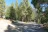 Idyllwild Park