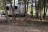 Big Creek Campground