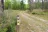 Nick's Road Landing Campsite #27