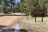 Old Rim Road Dispersed Camping