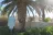 Mirage RV Resort