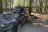 Sprague Creek Campground