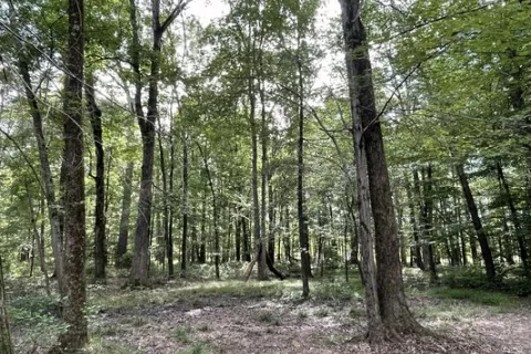 Bull Run Regional Park Campground