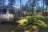 Peaceful Pines  RV Park & Campground