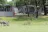 Halls Gap Lakeside Tourist Park