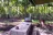 Cypress Glen Campground