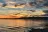 Lake Havasu State Park Campground