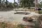 River Junction Campground