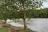 Watermelon Park Campground