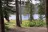 Trial Lake Campground