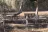 Encino Grande RV Park