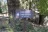 Chatcolet Campground