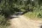 Canyon Creek Dispersed Camping