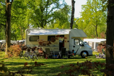Camping Wedderbergen
