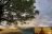 Livermore RV Park