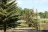 Red Lodge KOA