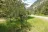 Cinnamon Recreation Site