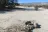 Carrizo Valley
