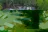 Tall Timbers RV Park