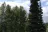Cassiar RV Park