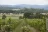 Rutherglen Vineyards