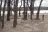 Shaffer Bend Recreation Area