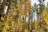 Whitefish Lake State Park